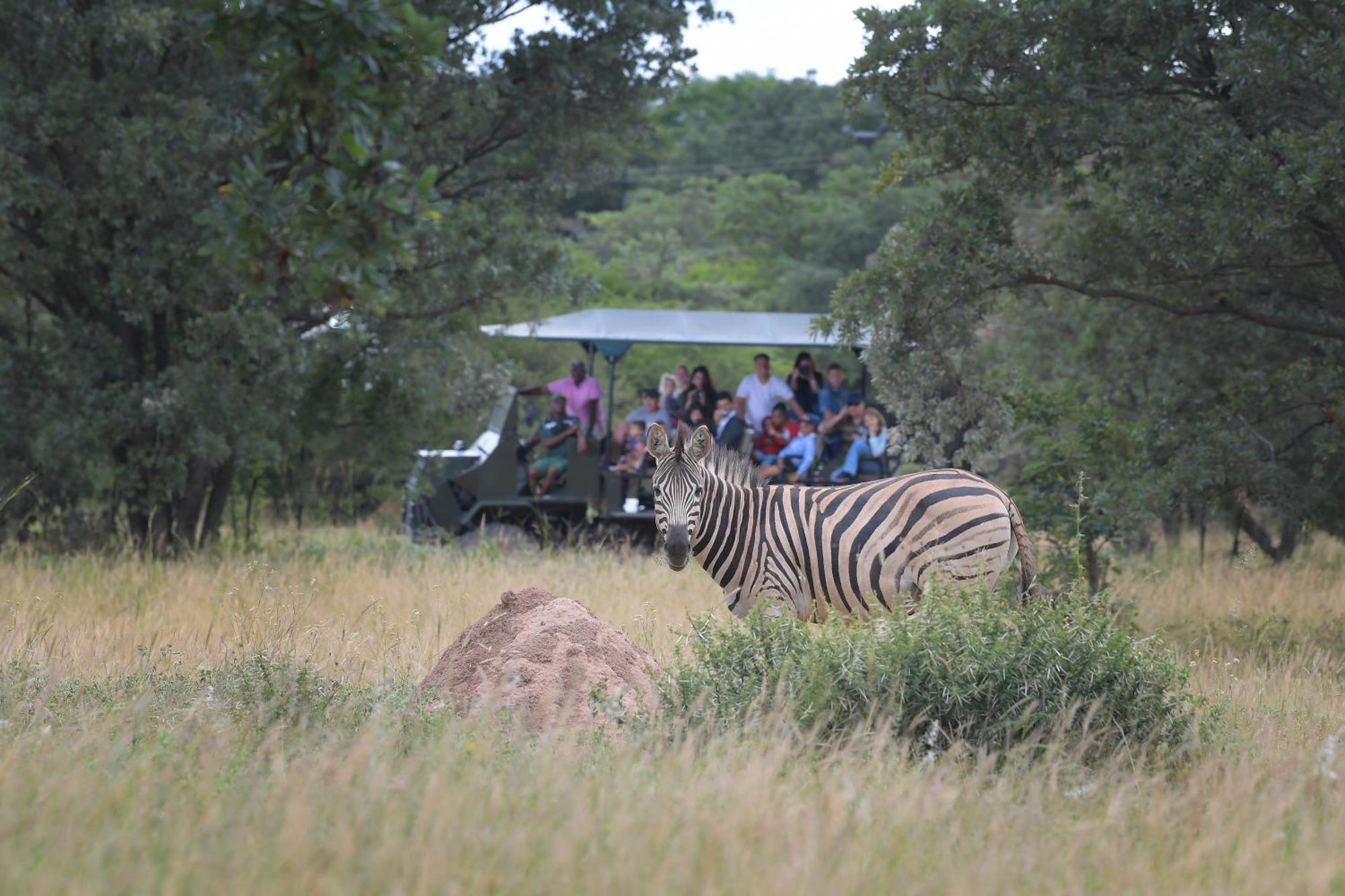 Atkv Klein-Kariba Hotel เบอลา-เบอลา ภายนอก รูปภาพ